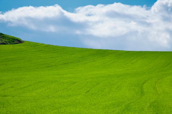 AdobeStock_694694204