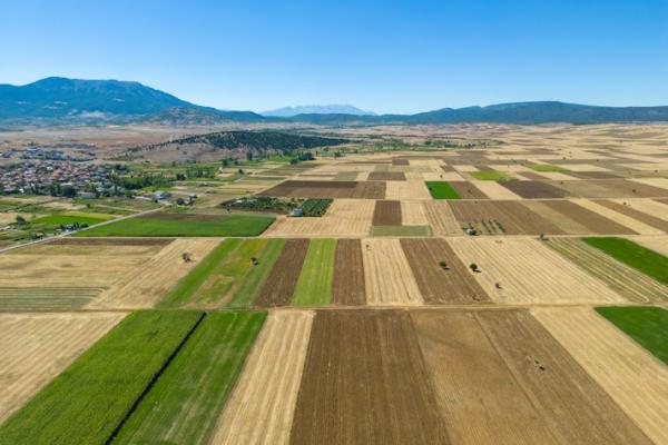 Favourable yield outlook for crops in Turkiye.