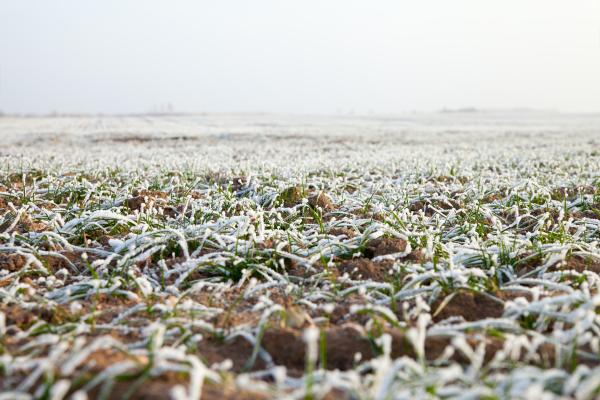Dry autumn in Europe in December 2024
